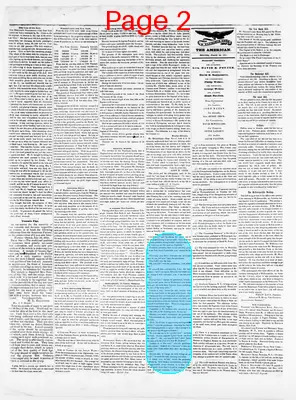 Page thumbnail for Sunbury American And Shamokin Journal
