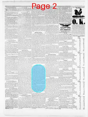 Page thumbnail for Sunbury American And Shamokin Journal