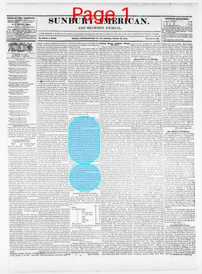 Page thumbnail for Sunbury American And Shamokin Journal