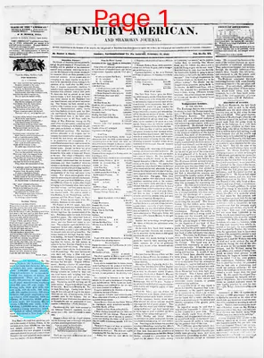 Page thumbnail for Sunbury American And Shamokin Journal