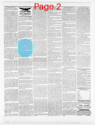 Page thumbnail for Sunbury American And Shamokin Journal