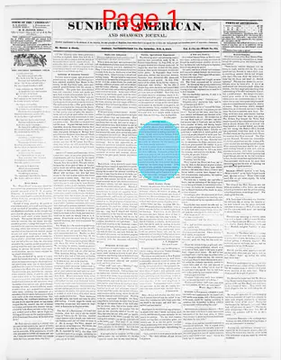 Page thumbnail for Sunbury American And Shamokin Journal