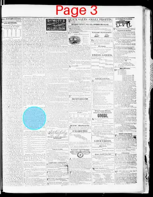 Page thumbnail for The Alleghanian