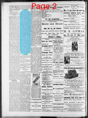 Page thumbnail for Salt Lake Evening Democrat