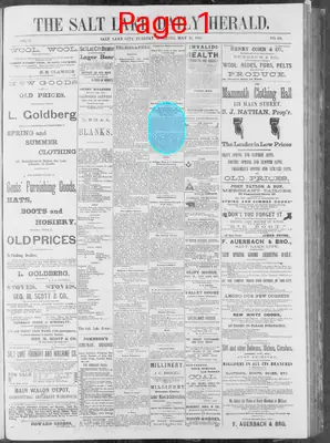 Page thumbnail for The Salt Lake Herald