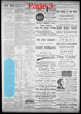 Page thumbnail for The Salt Lake Herald