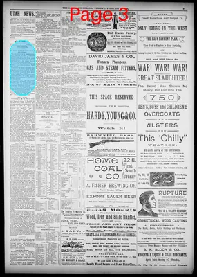 Page thumbnail for The Salt Lake Herald