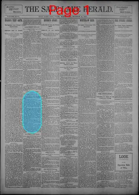 Page thumbnail for The Salt Lake Herald