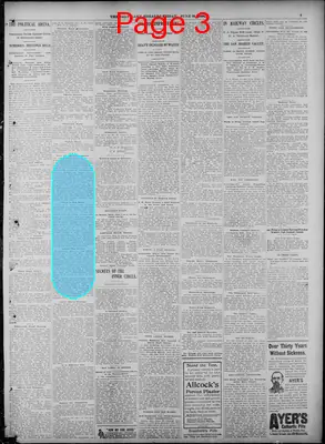 Page thumbnail for The Salt Lake Herald