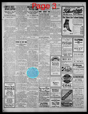 Page thumbnail for The Salt Lake Herald