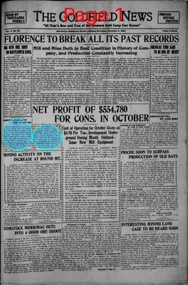 Page thumbnail for The Goldfield News