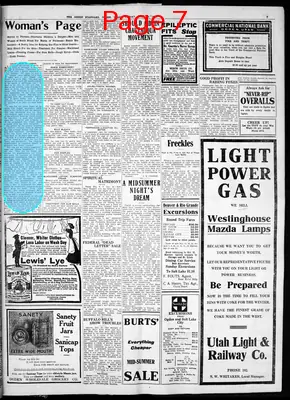 Page thumbnail for The Ogden Standard