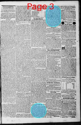 Page thumbnail for Martinsburg Gazette And Public Advertiser