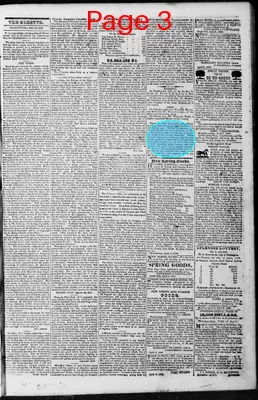 Page thumbnail for Martinsburg Gazette And Public Advertiser