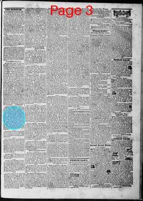 Page thumbnail for Martinsburg Gazette And Public Advertiser