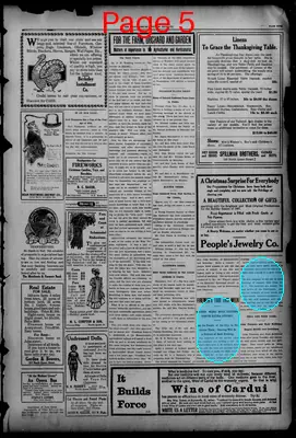 Page thumbnail for Evening Journal