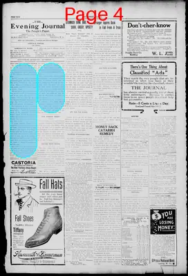 Page thumbnail for Evening Journal