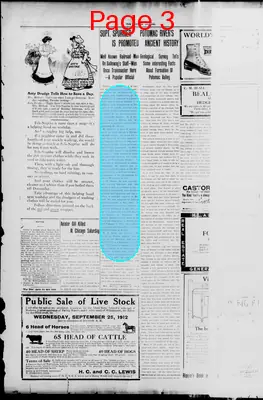 Page thumbnail for Evening Journal