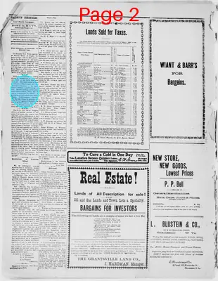 Page thumbnail for The Calhoun Chronicle
