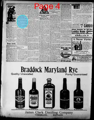 Page thumbnail for The Weekly Examiner