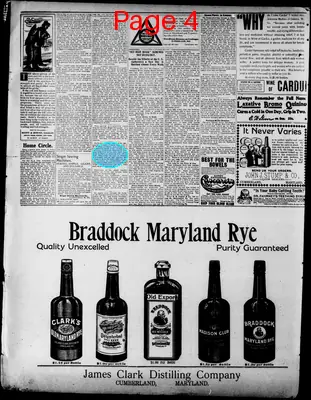 Page thumbnail for The Weekly Examiner