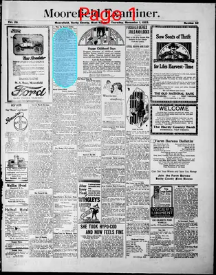 Page thumbnail for The Moorefield Examiner