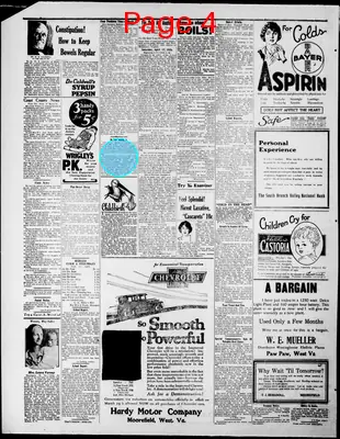 Page thumbnail for The Moorefield Examiner