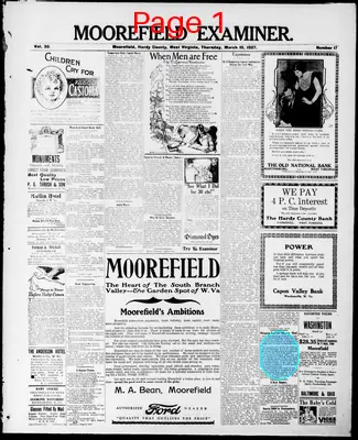 Page thumbnail for The Moorefield Examiner