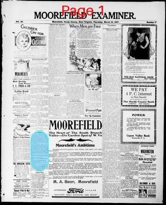 Page thumbnail for The Moorefield Examiner