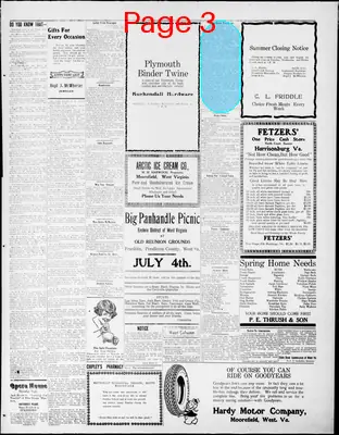 Page thumbnail for The Moorefield Examiner