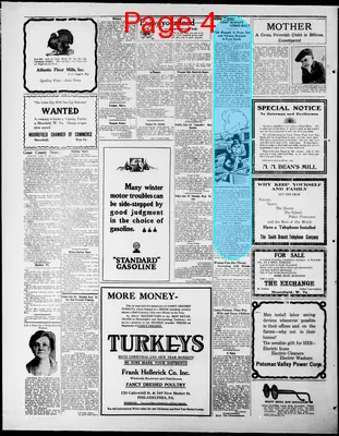 Page thumbnail for The Moorefield Examiner
