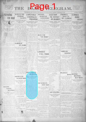 Page thumbnail for The Daily Telegram