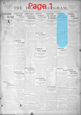 Page thumbnail for The Daily Telegram