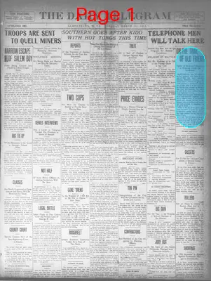 Page thumbnail for The Daily Telegram