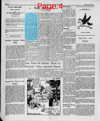 Page thumbnail for The West Virginia Digest