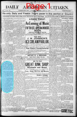 Page thumbnail for Daily American Citizen