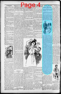 Page thumbnail for Daily American Citizen