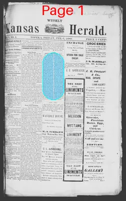 Page thumbnail for Kansas Weekly Herald
