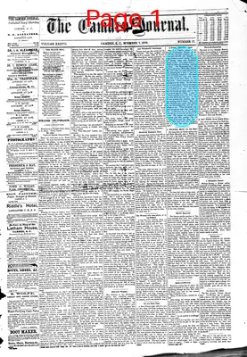 Page thumbnail for The Camden Journal