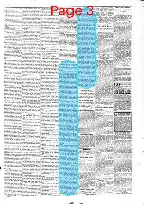 Page thumbnail for The Camden Journal