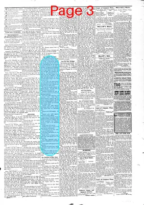 Page thumbnail for The Camden Journal