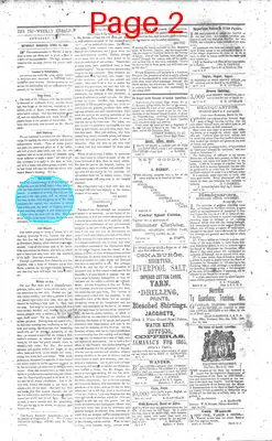 Page thumbnail for The Tri Weekly Herald