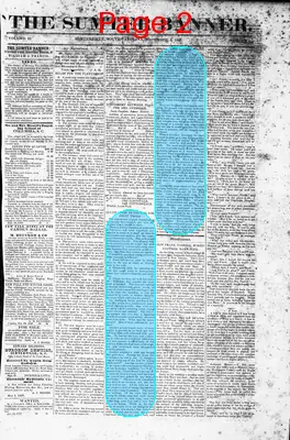 Page thumbnail for The Sumter Banner