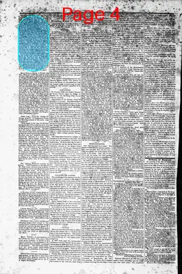 Page thumbnail for The Sumter Banner