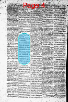 Page thumbnail for The Sumter Banner