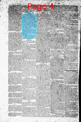 Page thumbnail for The Sumter Banner