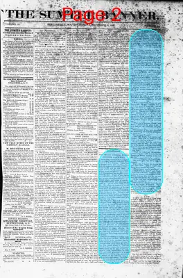 Page thumbnail for The Sumter Banner