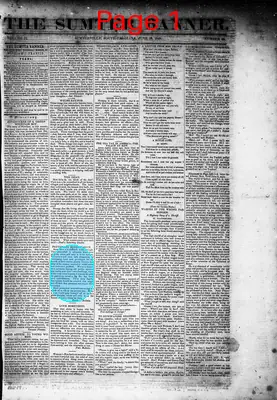 Page thumbnail for The Sumter Banner