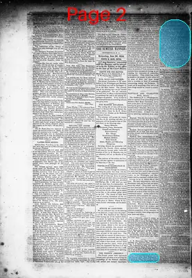 Page thumbnail for The Sumter Banner