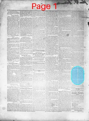 Page thumbnail for The Sumter Banner